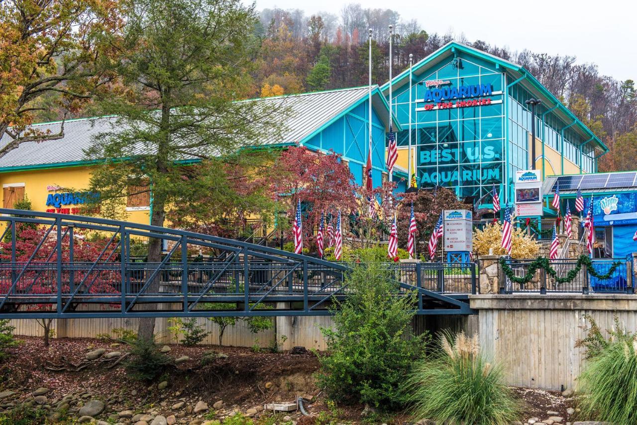 Woodland Escape Villa Pigeon Forge Eksteriør billede